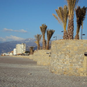 DSC01426